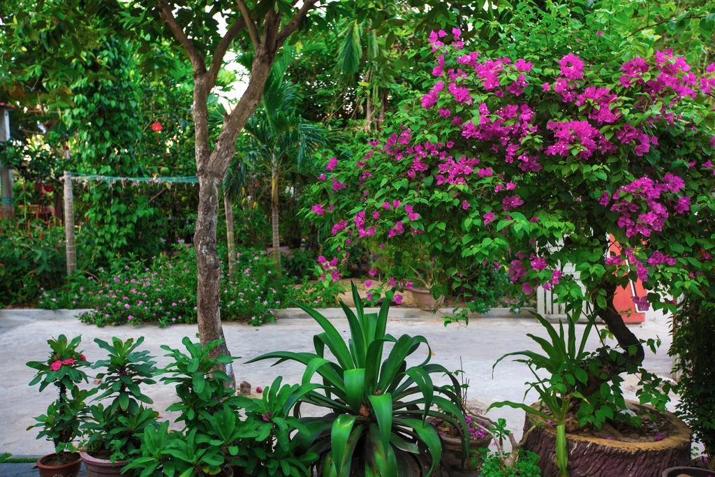 Thinh Phuc Homestay Hoi An Esterno foto